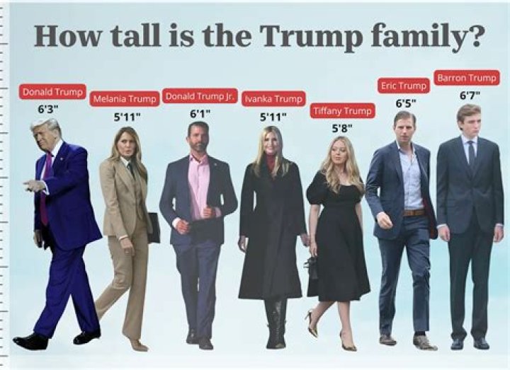 Jameson Williams Height: How Tall Is Jameson Williams?