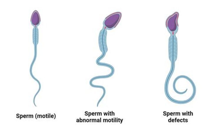 Sperm Is What’s Keeping My Face This Smooth; Let Your Guy Pour His Cum On Your Face – Cardi B